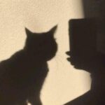 دانلود آهنگ همش قربون وابو دانلود آهنگ همش قربون وابو