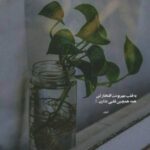 دانلود آهنگ این صورت ماهو کی دیده ستاره
