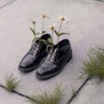 دانلود آهنگ اینجا بی تو سرده گل من دانلود آهنگ اینجا بی تو سرده گل من