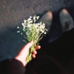 دانلود آهنگ نگاه میکنم نمیبینم گوگوش دانلود آهنگ نگاه میکنم نمیبینم گوگوش