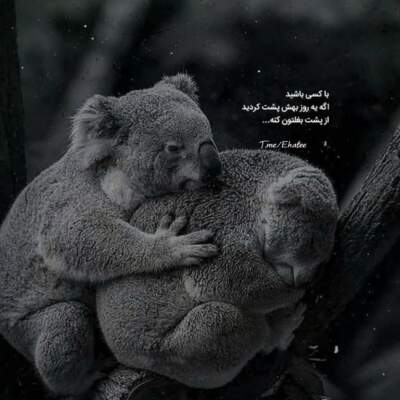 دانلود آهنگ  بچه پاشو دیگه سپی داره میگه