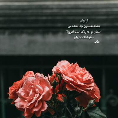 دانلود آهنگ  به حریم خلوت خود شبی چه شود نهفته بخوانیم