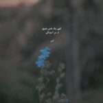 دانلود آهنگ بو قيز کنده تزه گليب