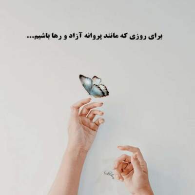دانلود آهنگ حال که دیوانه شدم میروی سپیده دانلود آهنگ حال که دیوانه شدم میروی سپیده