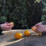 دانلود آهنگ تو که خبر از حال دلم نداری دانلود آهنگ تو که خبر از حال دلم نداری